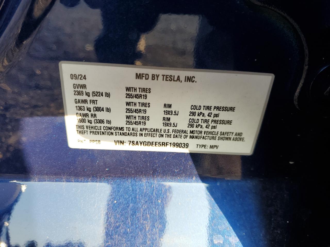 2024 Tesla Model Y VIN: 7SAYGDEE5RF199039 Lot: 71773525