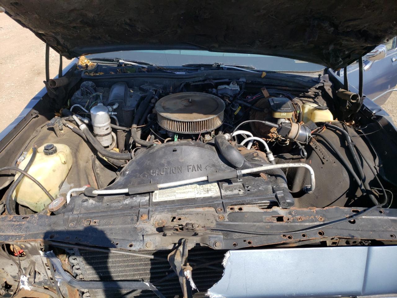 1983 Chevrolet Caprice Classic VIN: 2G1AN35H0D1277417 Lot: 80917445