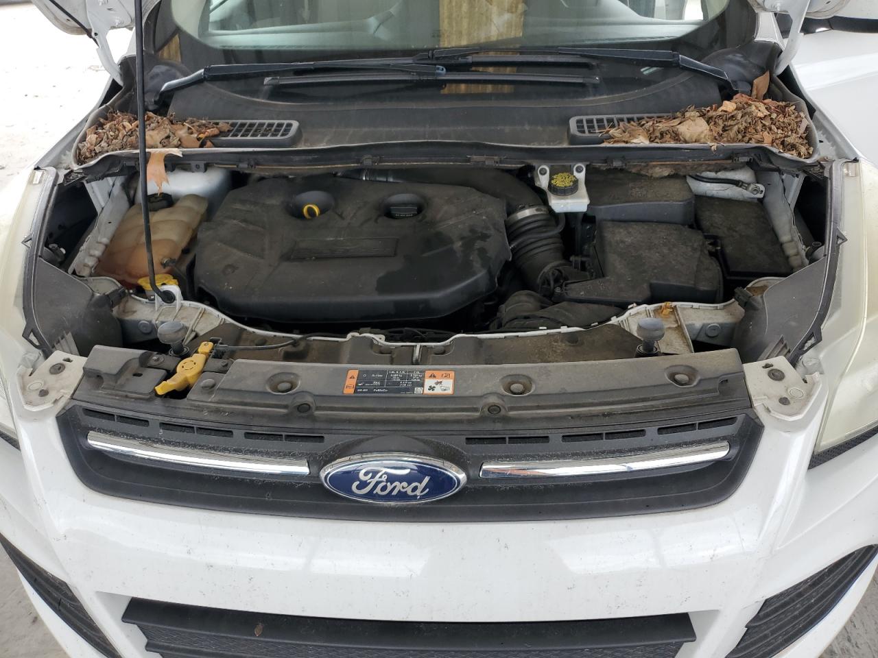 2015 Ford Escape Se VIN: 1FMCU0G96FUC40043 Lot: 81773775