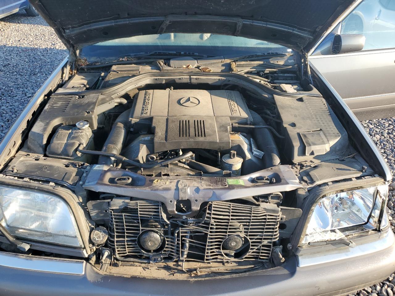 1995 Mercedes-Benz S 420 VIN: WDBGA43E1SA238056 Lot: 80275225