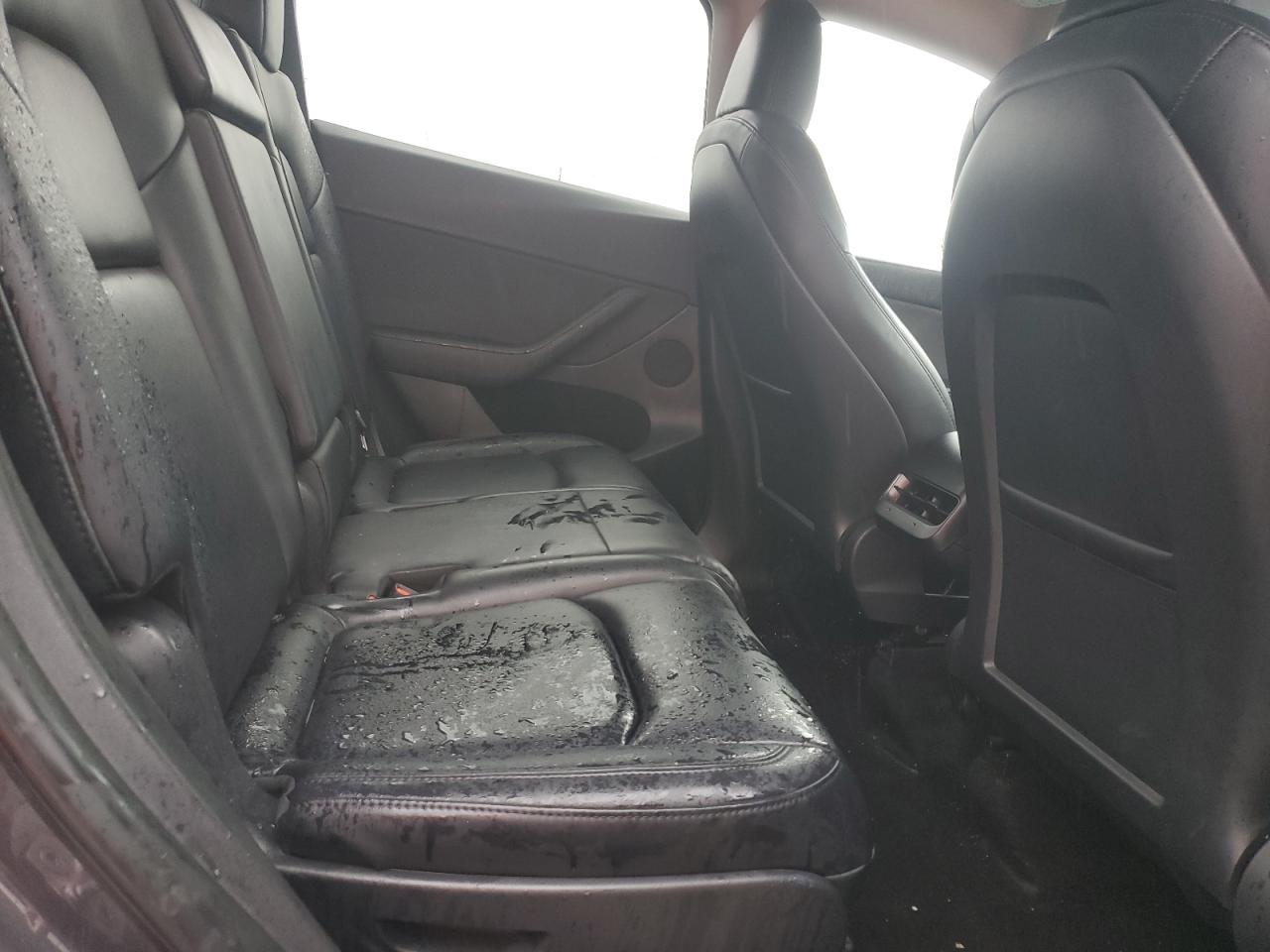 2023 Tesla Model Y VIN: 7SAYGAEE5PF893189 Lot: 83832355