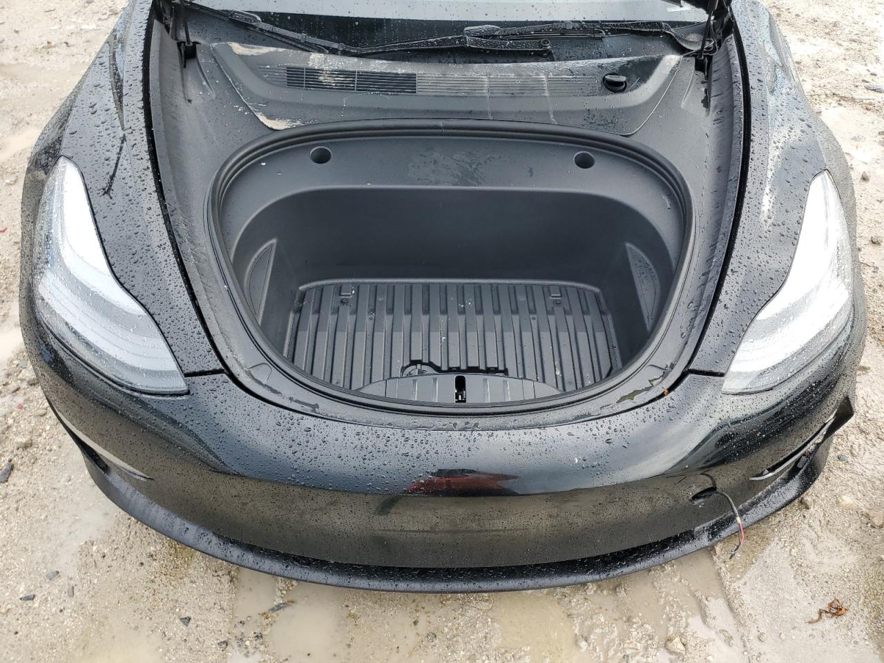 2023 Tesla Model 3 VIN: 5YJ3E1EA5PF556158 Lot: 81804055