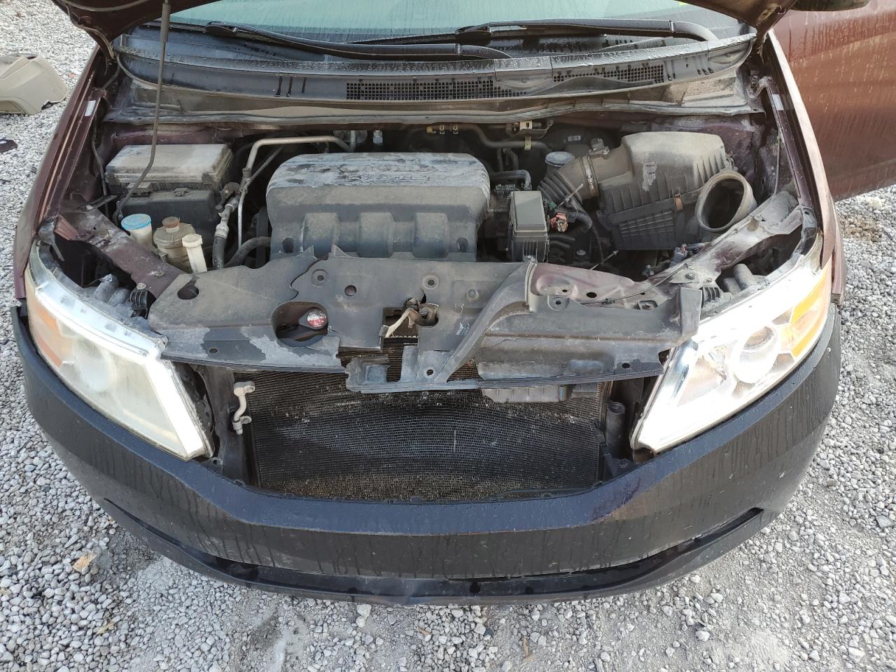 2012 Honda Odyssey Exl VIN: 5FNRL5H63CB083241 Lot: 70931665