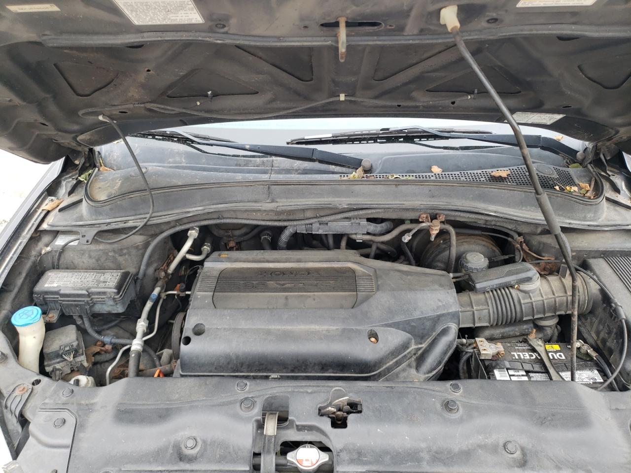 2004 Honda Pilot Exl VIN: 2HKYF18694H541072 Lot: 81525325