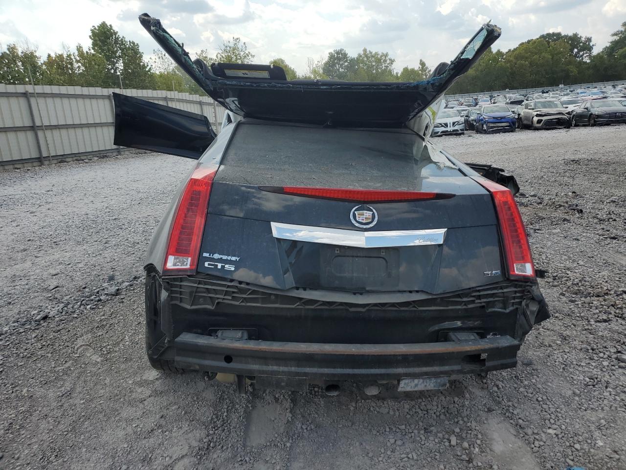 2013 Cadillac Cts Performance Collection VIN: 1G6DJ1E37D0165270 Lot: 71885085
