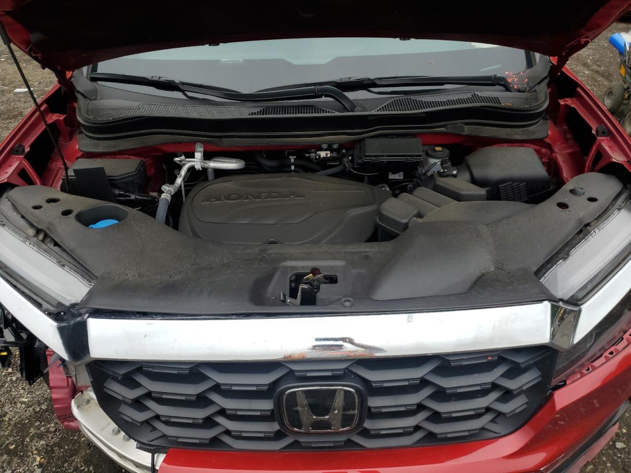 2024 Honda Passport Exl VIN: 5FNYF8H55RB021988 Lot: 84731485