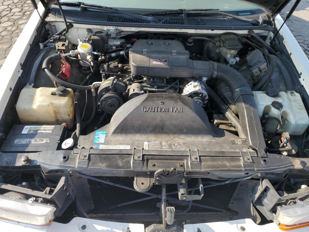 1993 Buick Roadmaster Limited VIN: 1G4BT5372PR428580 Lot: 80327685