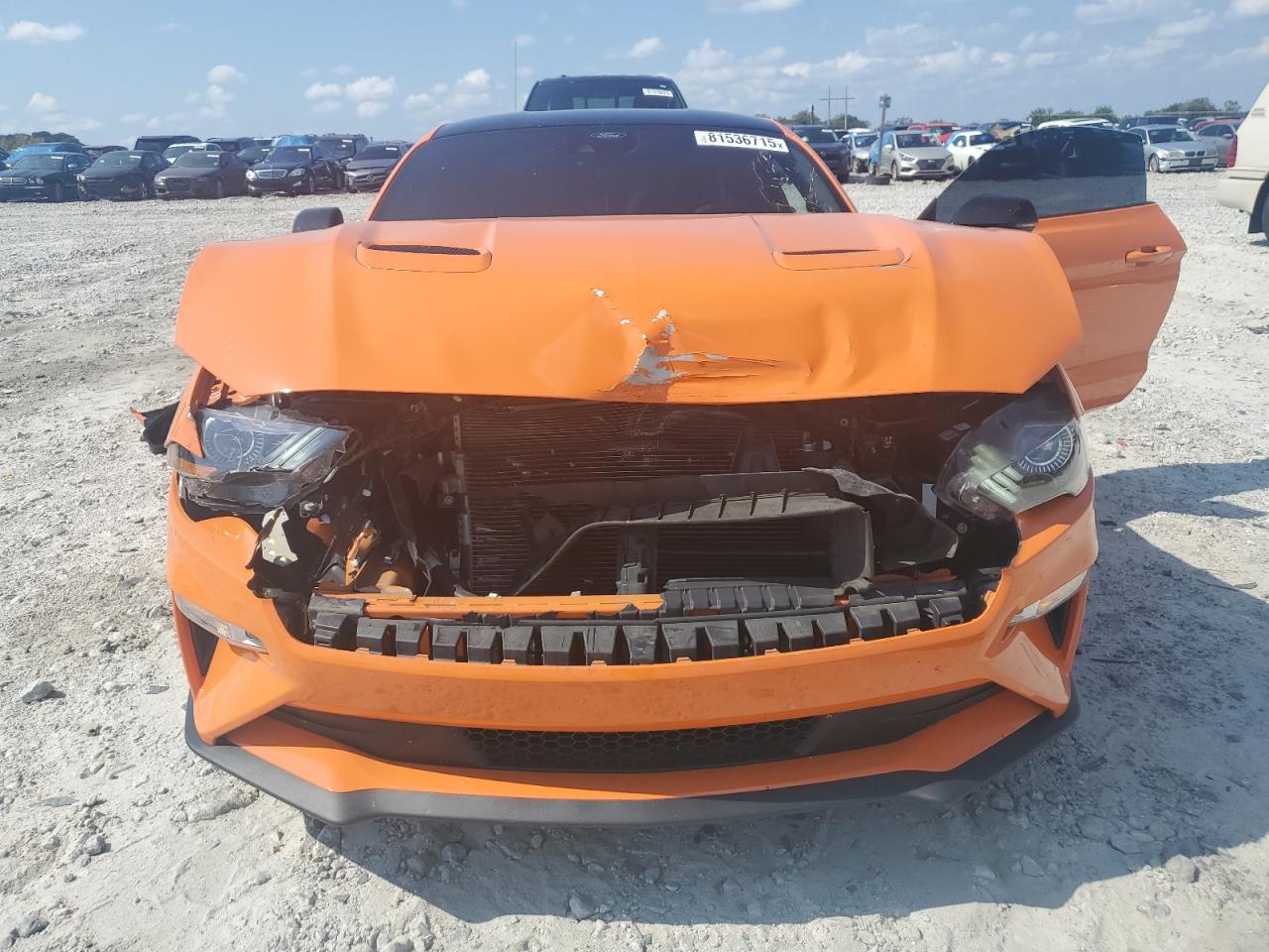 2021 Ford Mustang Gt VIN: 1FA6P8CFXM5149440 Lot: 81536715