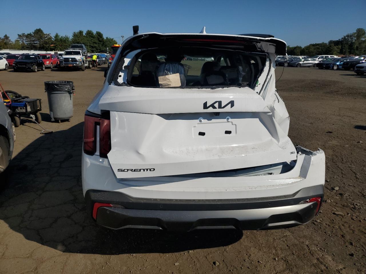 2025 Kia Sorento Ex VIN: 5XYRHDJF8SG393639 Lot: 81247785