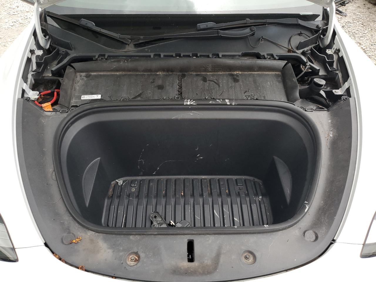 2022 Tesla Model Y VIN: 7SAYGDEE7NF445745 Lot: 81339175