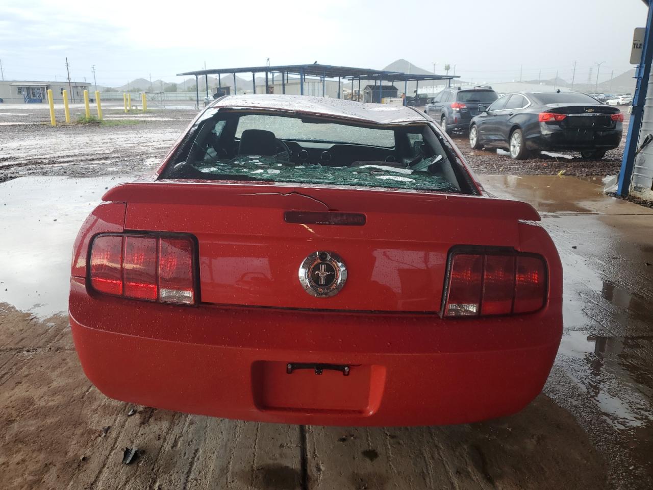 2009 Ford Mustang VIN: 1ZVHT80N995133437 Lot: 81881755