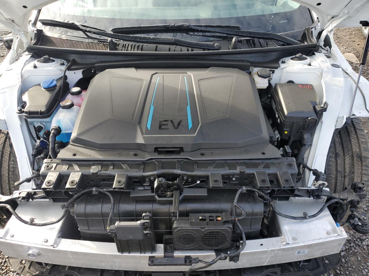 2024 Hyundai Ioniq 5 Limited VIN: KM8KRDDF9RU293208 Lot: 81027255