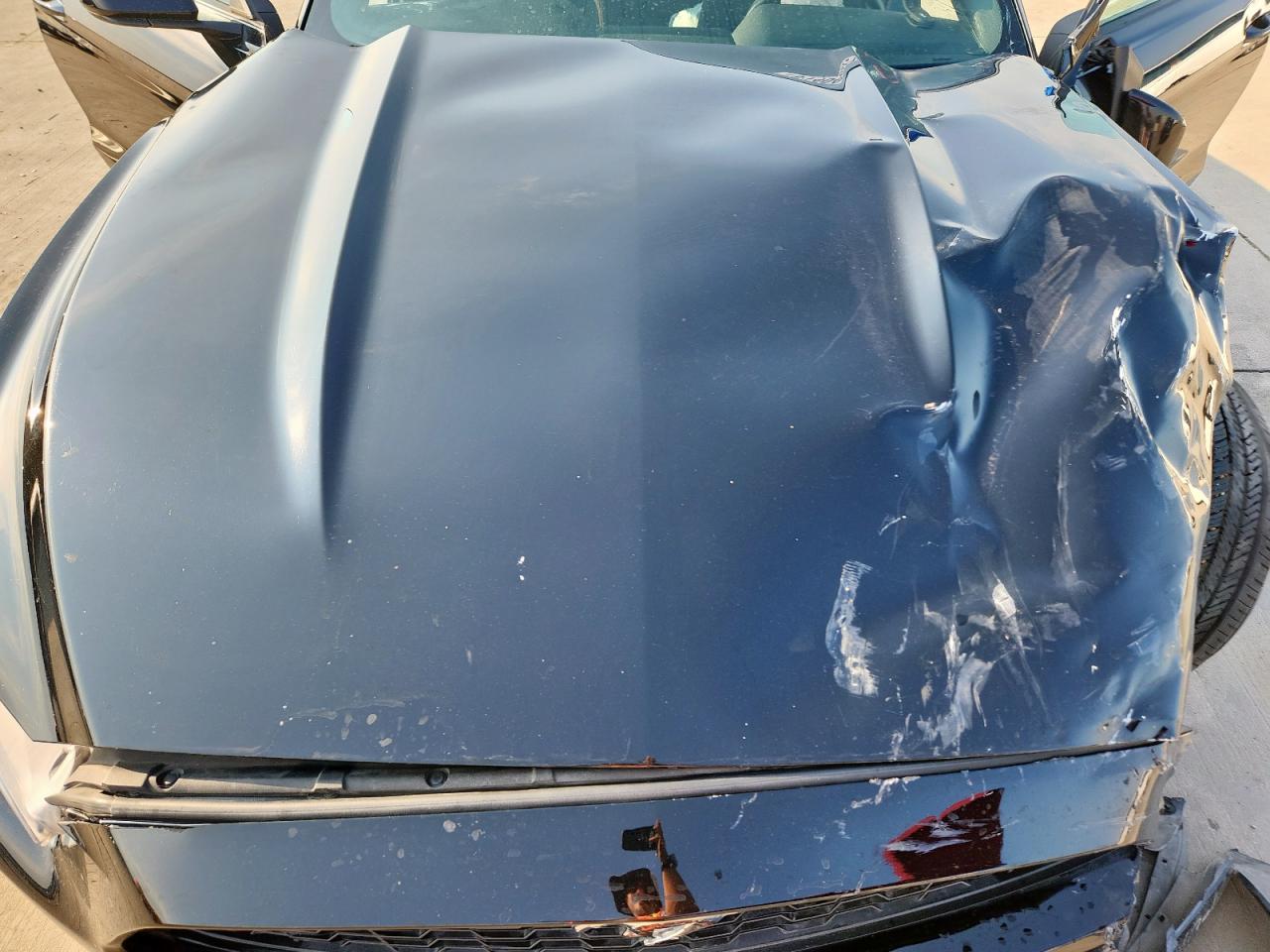 2017 Ford Mustang VIN: 1FA6P8AM5H5290679 Lot: 81404435