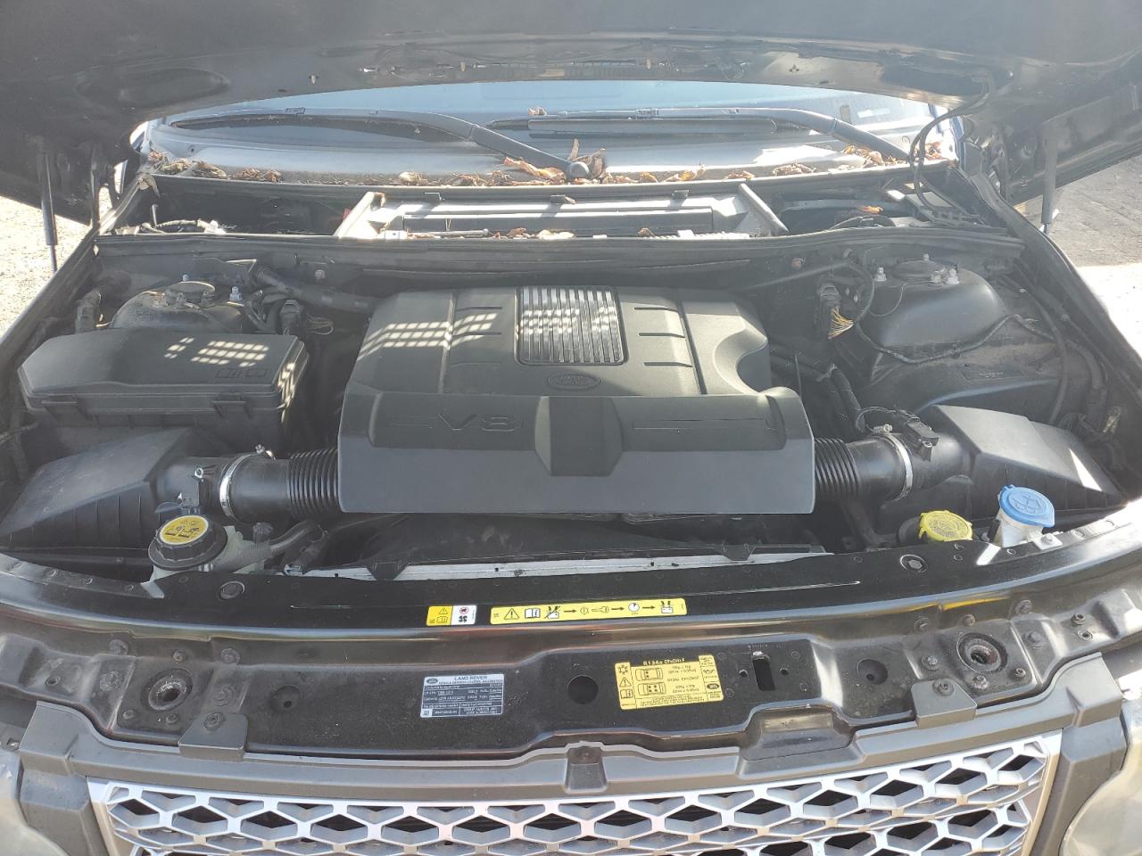 2010 Land Rover Range Rover Hse VIN: SALME1D45AA312213 Lot: 81884145