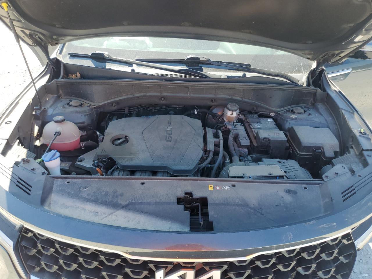 2022 Kia Sorento Lx VIN: 5XYRG4LC1NG117619 Lot: 81020055