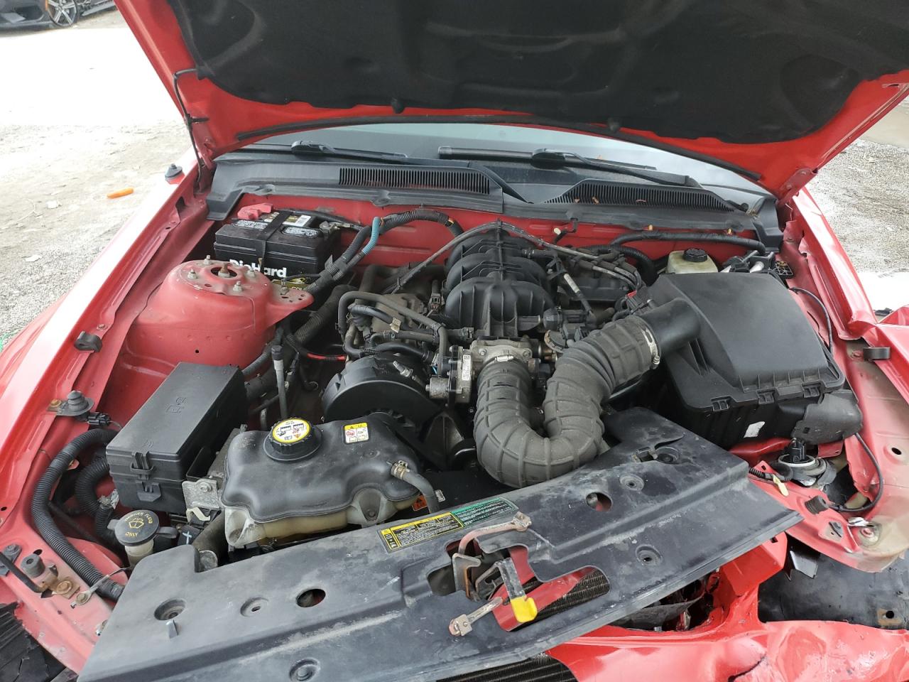 2005 Ford Mustang VIN: 1ZVFT84N655203553 Lot: 84264215