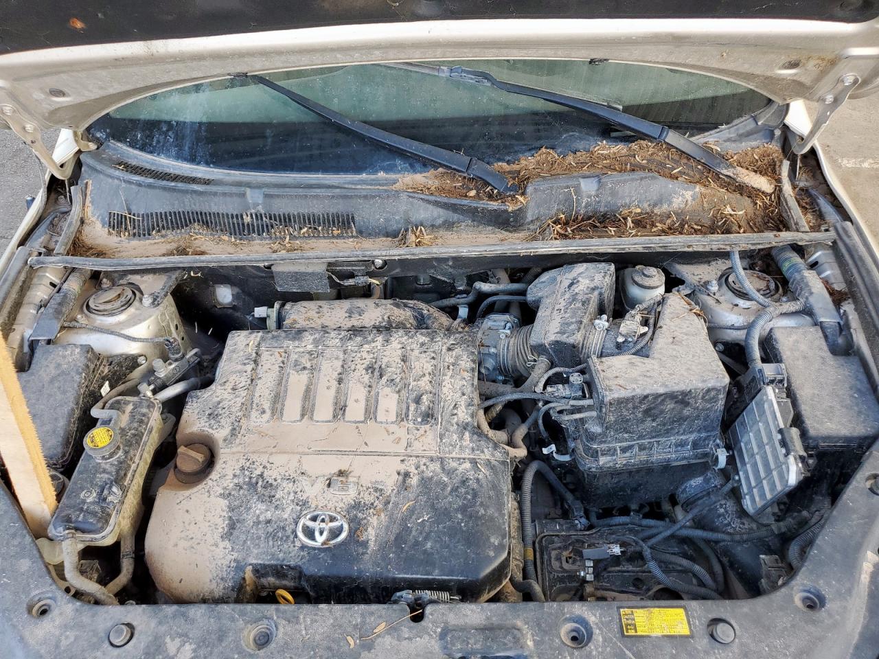 2007 Toyota Rav4 Limited VIN: JTMBK31V776013043 Lot: 82019095