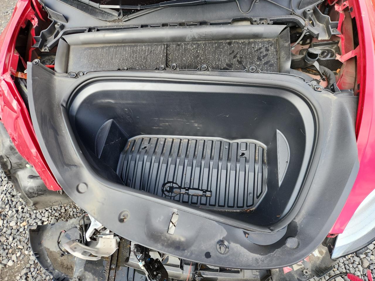 2023 Tesla Model Y VIN: 7SAYGDEE0PF910448 Lot: 80873385