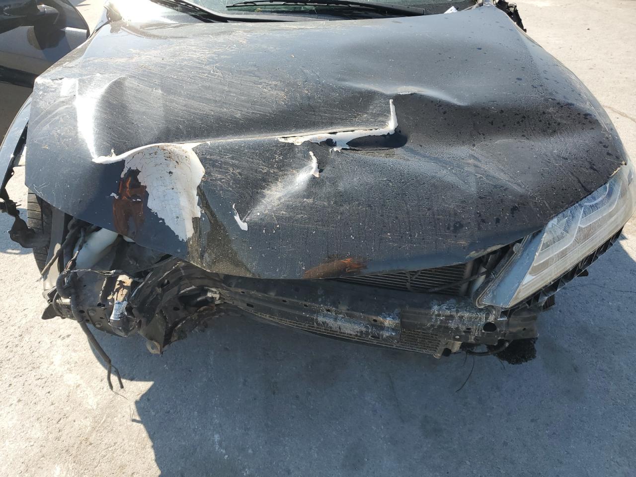 2016 Honda Accord Exl VIN: 1HGCT2A8XGA003191 Lot: 80610095