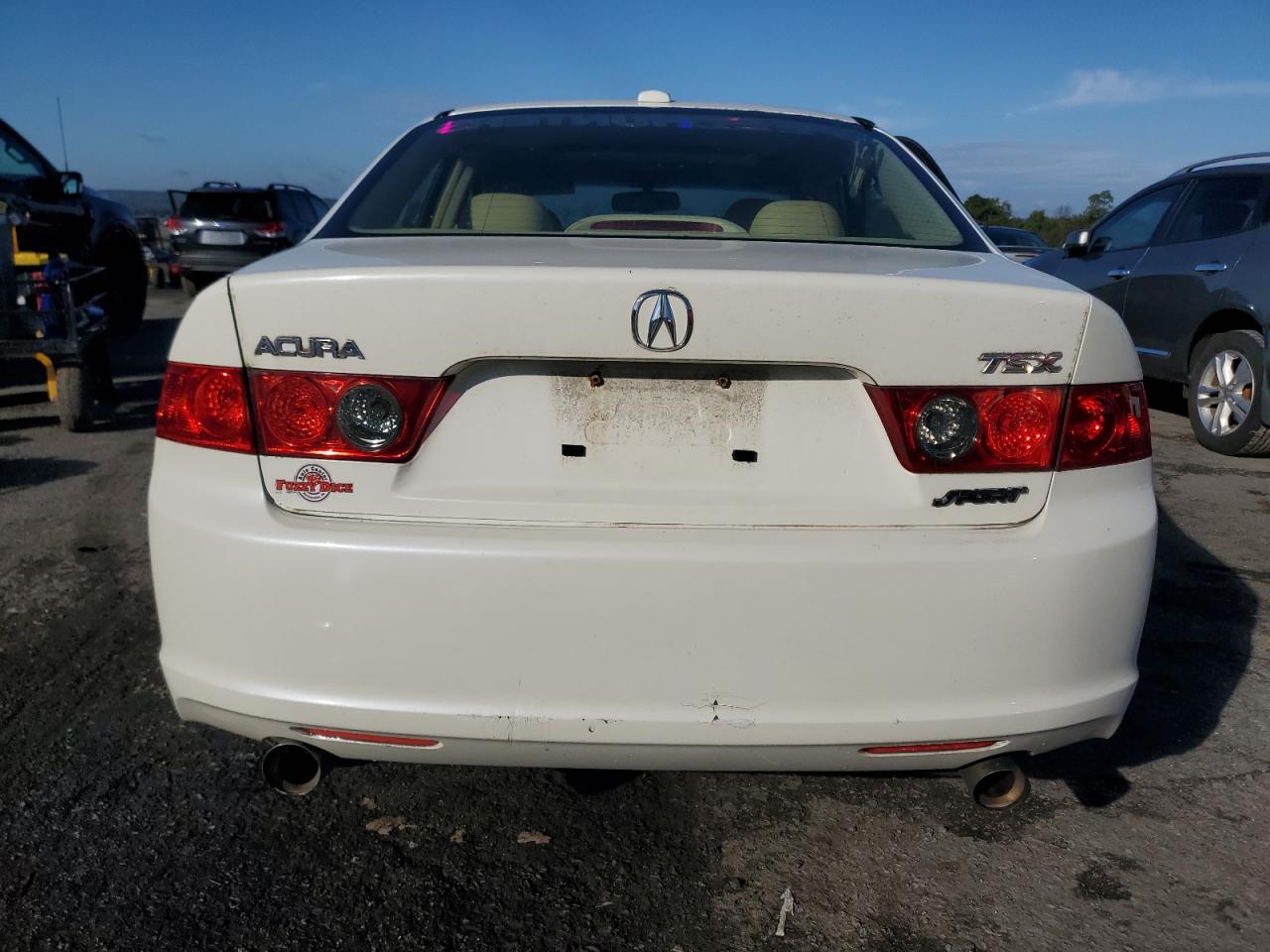 2008 Acura Tsx VIN: JH4CL96898C021931 Lot: 84169145