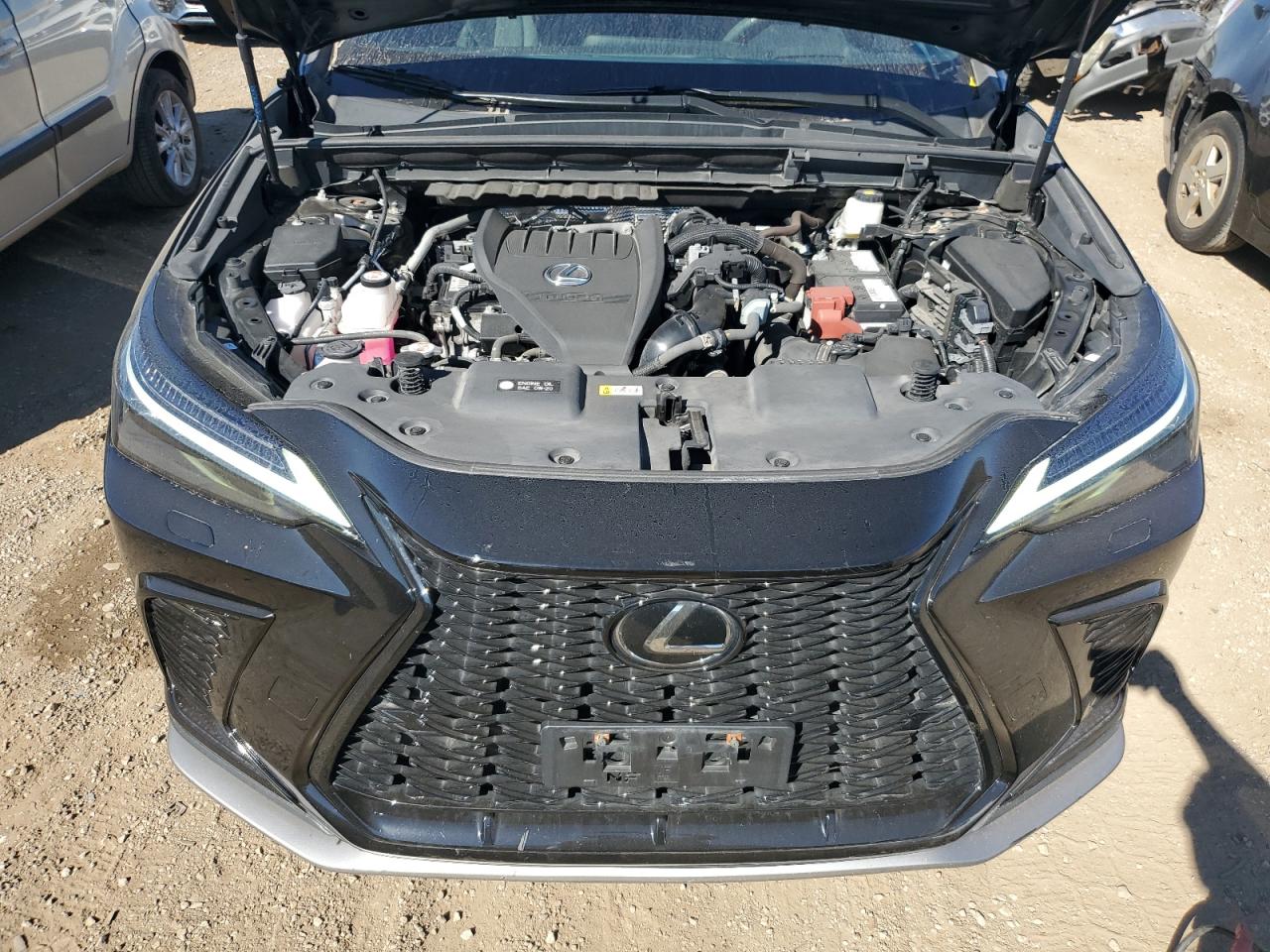 2023 Lexus Nx 350 VIN: 2T2KGCEZ7PC016883 Lot: 84011475
