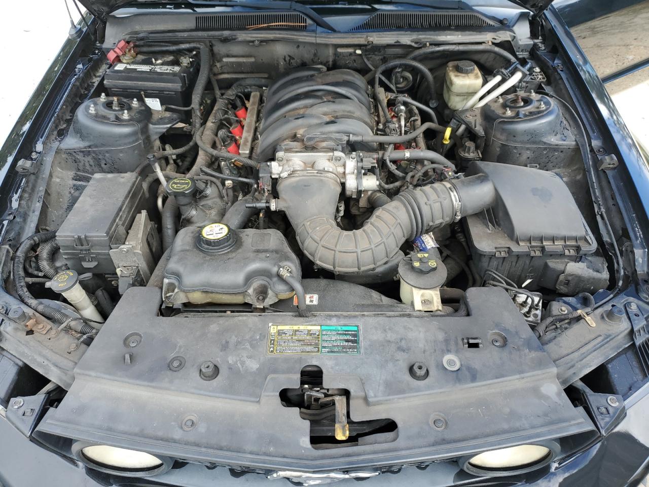 2005 Ford Mustang Gt VIN: 1ZVHT82H455229736 Lot: 84266705