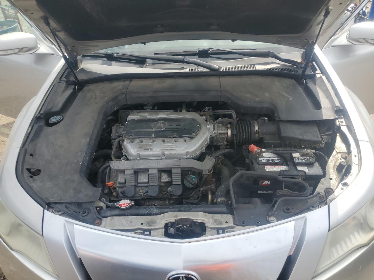 2009 Acura Tl VIN: 19UUA86519A010268 Lot: 81519225