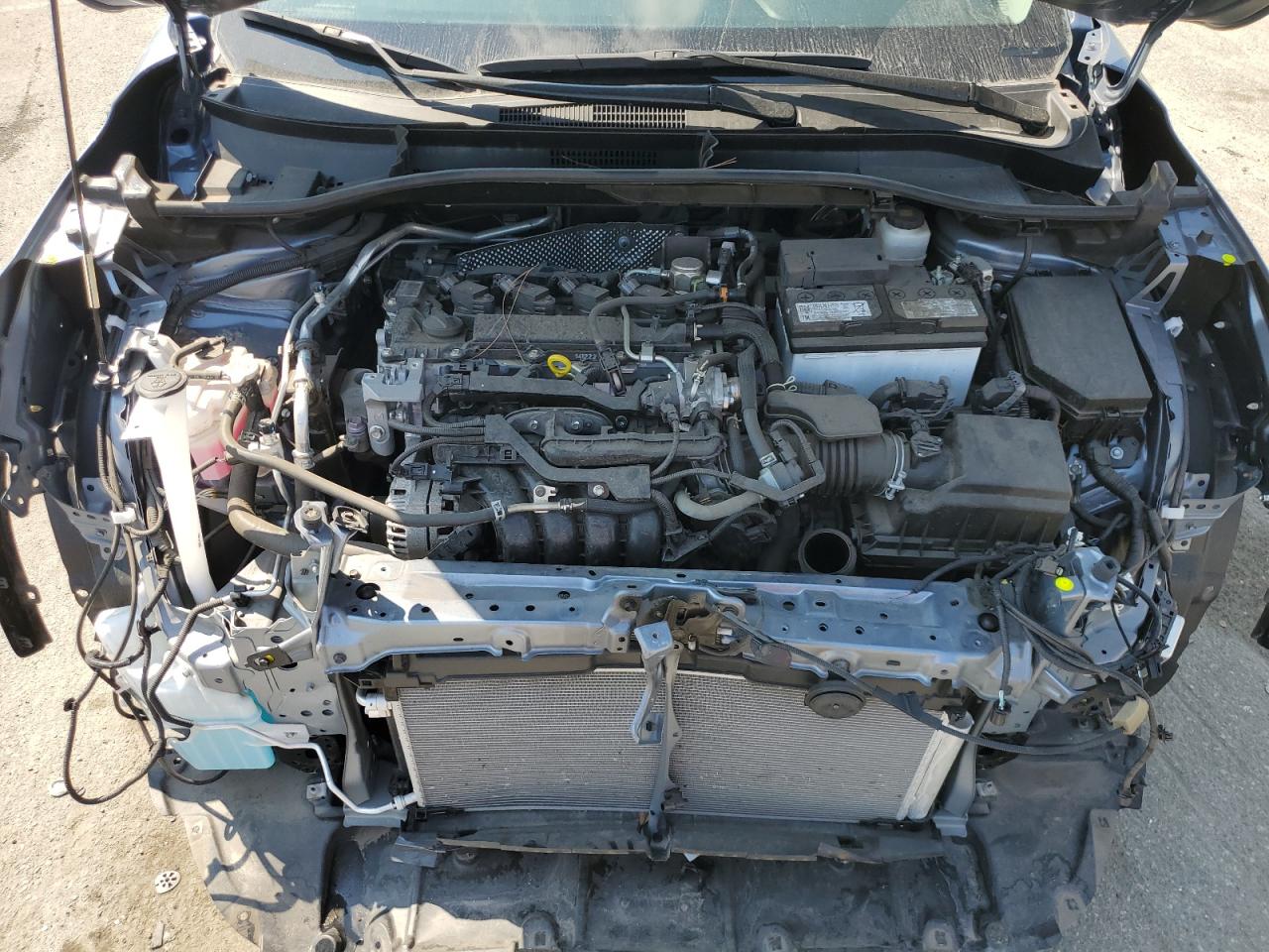 2023 Toyota Corolla Cross Xle VIN: 7MUDAAAG3PV051019 Lot: 81103185