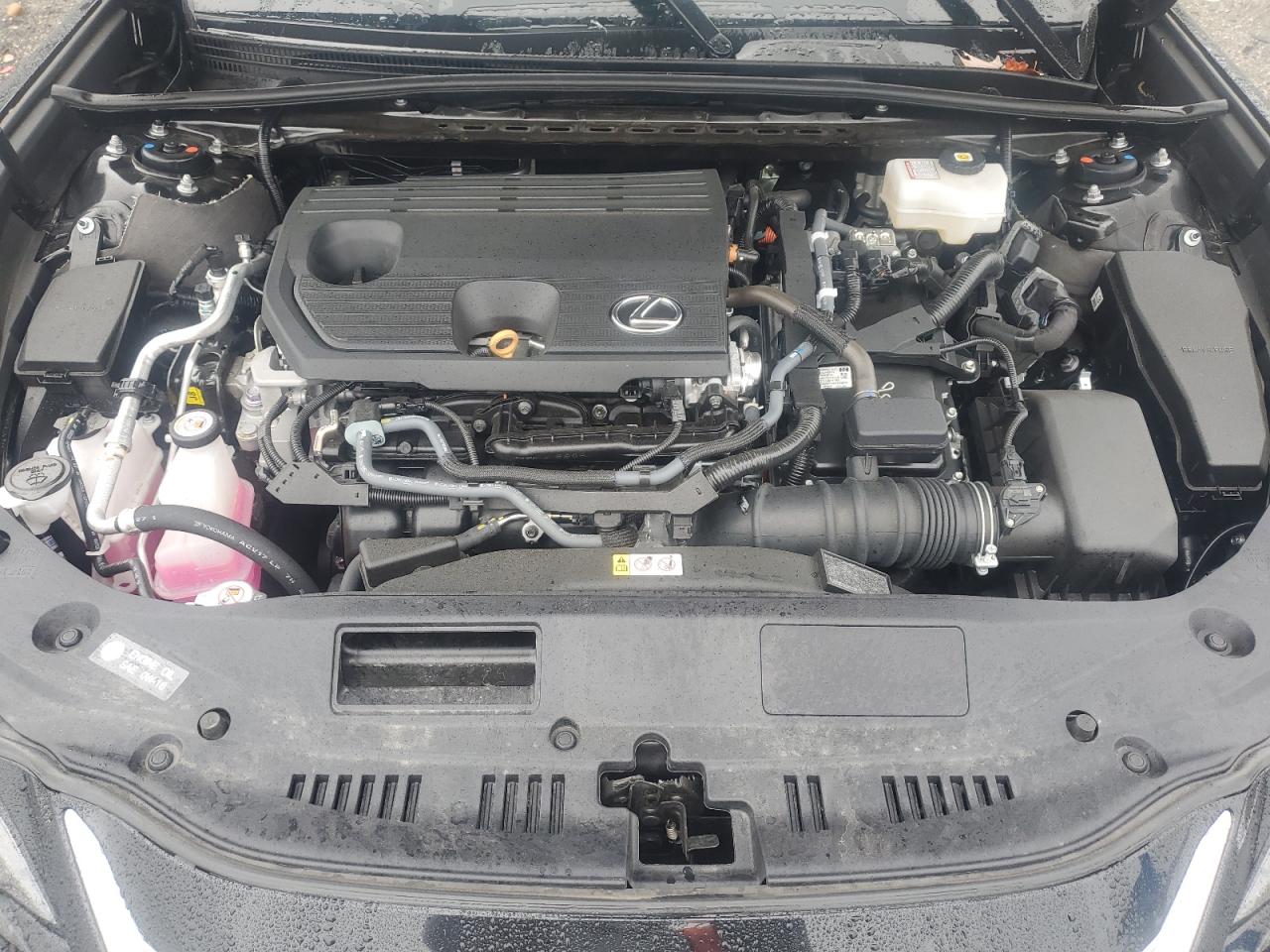 2025 Lexus Es 300H Base VIN: 58ADA1C14SU061473 Lot: 81031205