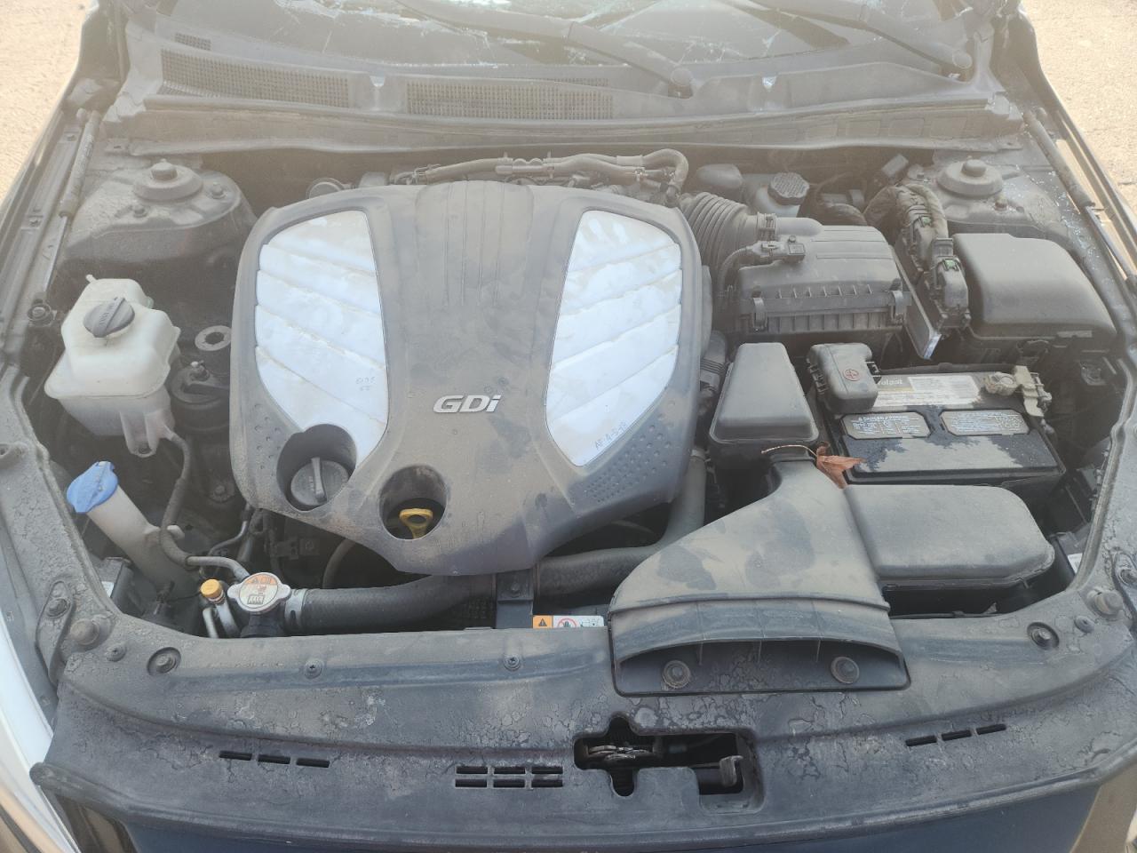 2015 Kia Cadenza Premium VIN: KNALN4D70F5193739 Lot: 80501345
