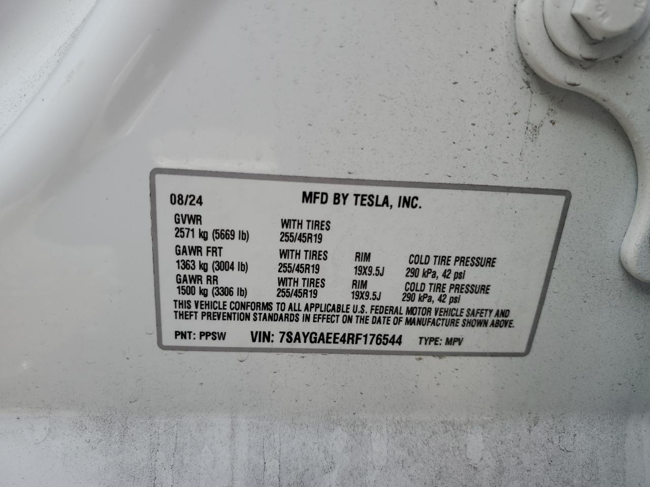 2024 Tesla Model Y VIN: 7SAYGAEE4RF176544 Lot: 81506075