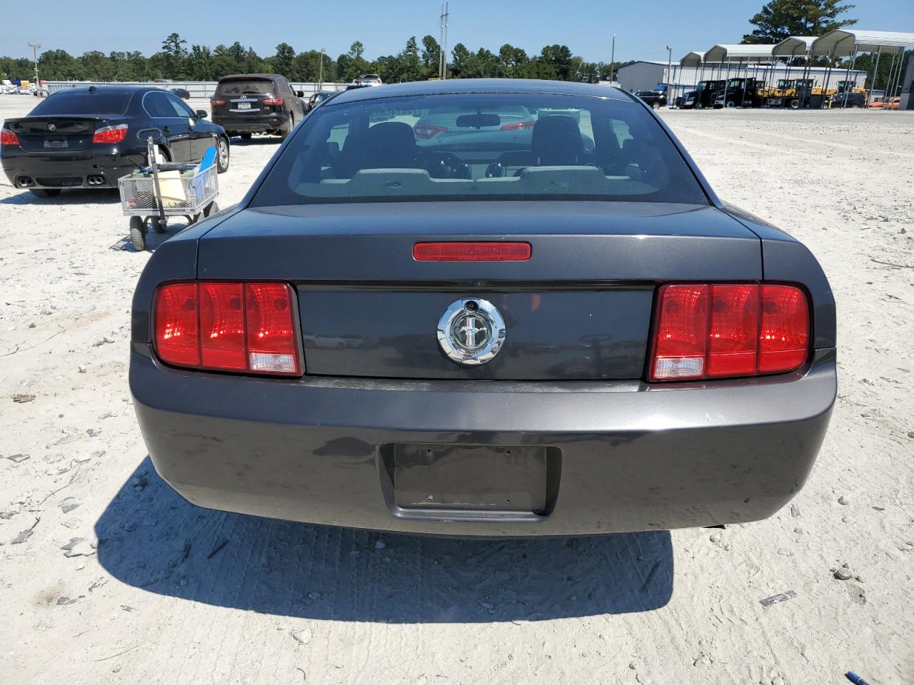 2008 Ford Mustang VIN: 1ZVHT80N685141526 Lot: 72014865