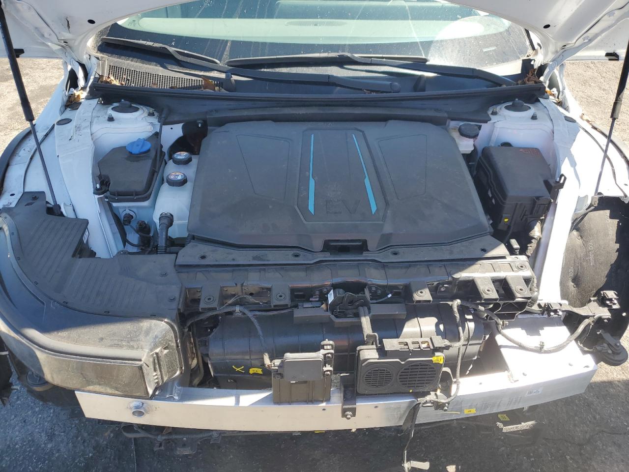 2024 Hyundai Ioniq 5 Se VIN: KM8KM4DBXRU318435 Lot: 71116735