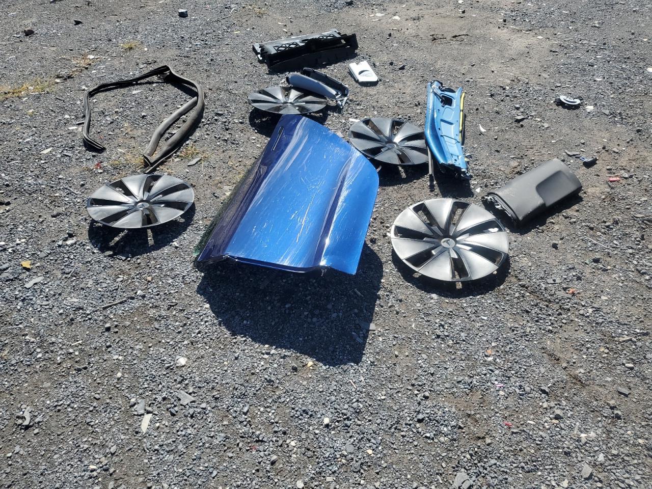 2025 Tesla Model 3 VIN: 5YJ3E1EB5SF003334 Lot: 81334005