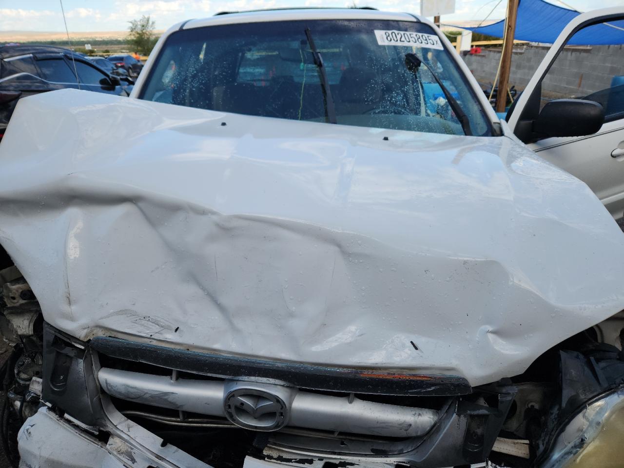 2002 Mazda Tribute Lx VIN: 4F2YU09102KM51326 Lot: 80205895