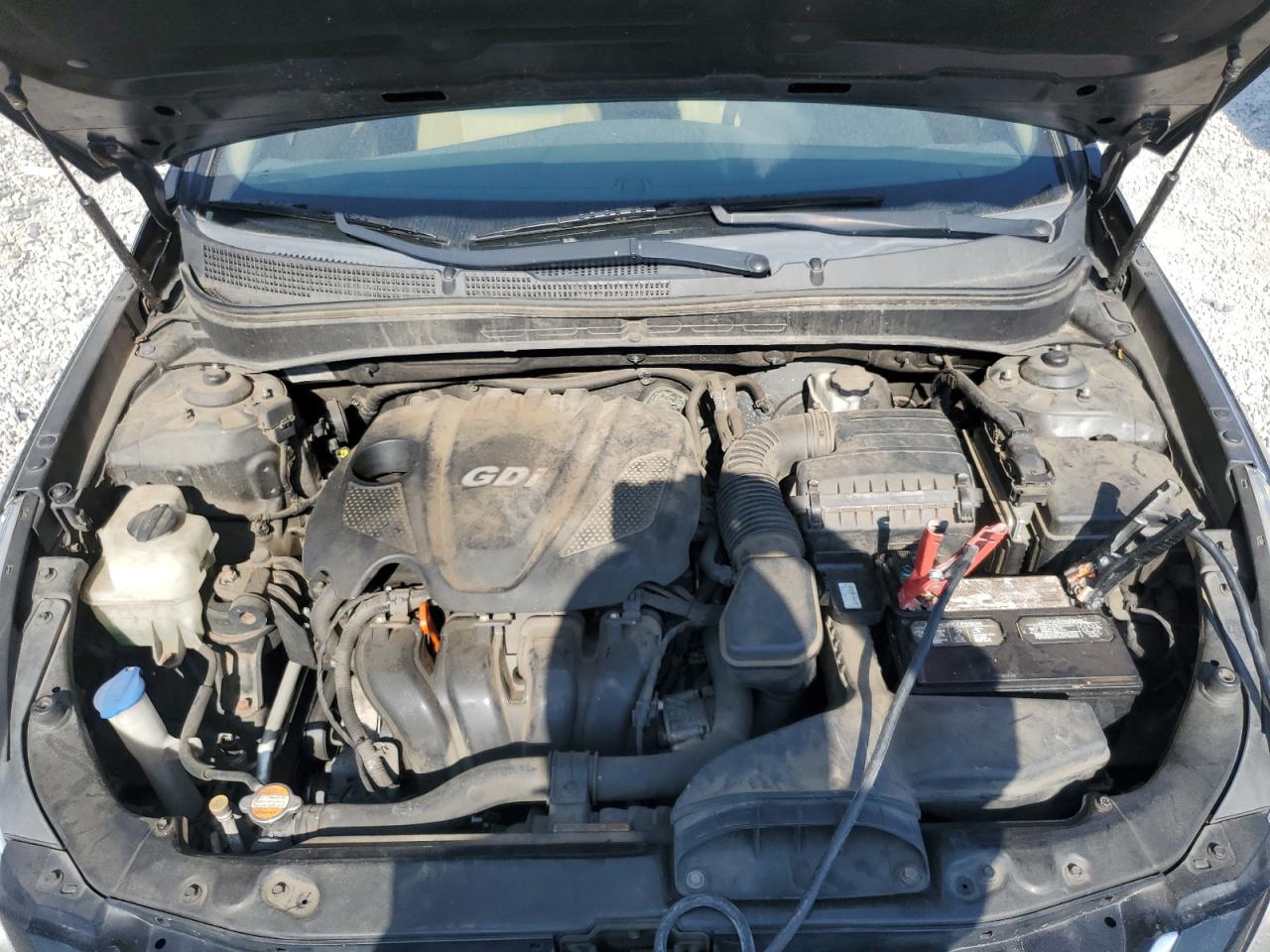 2011 Hyundai Sonata Gls VIN: 5NPEB4AC7BH173455 Lot: 81261435