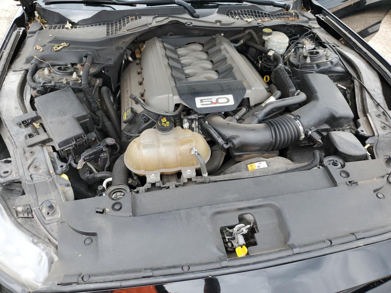 2015 Ford Mustang Gt VIN: 1FA6P8CF5F5358605 Lot: 80256825