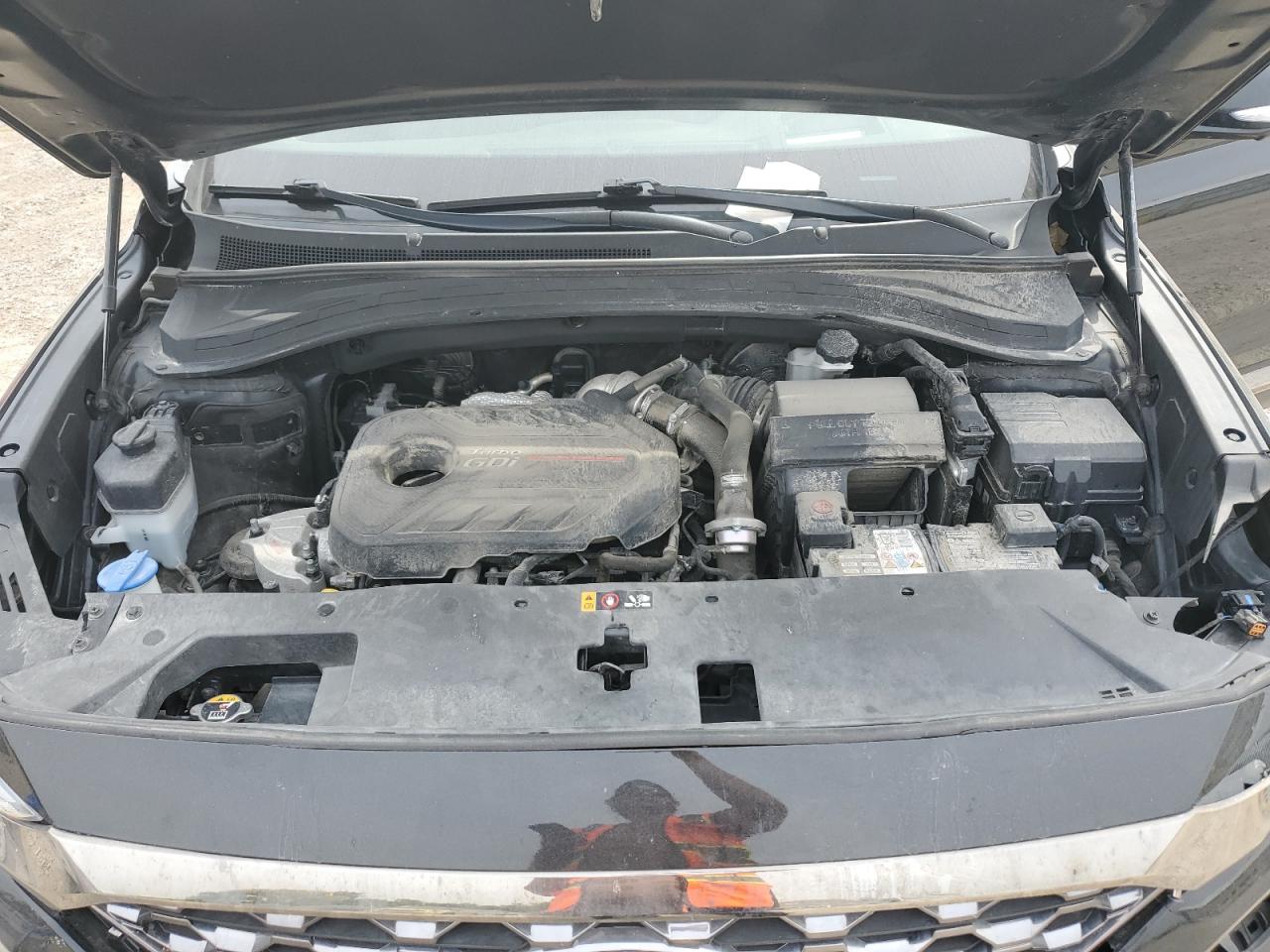 2019 Hyundai Santa Fe Limited VIN: 5NMS5CAA9KH079030 Lot: 84258925