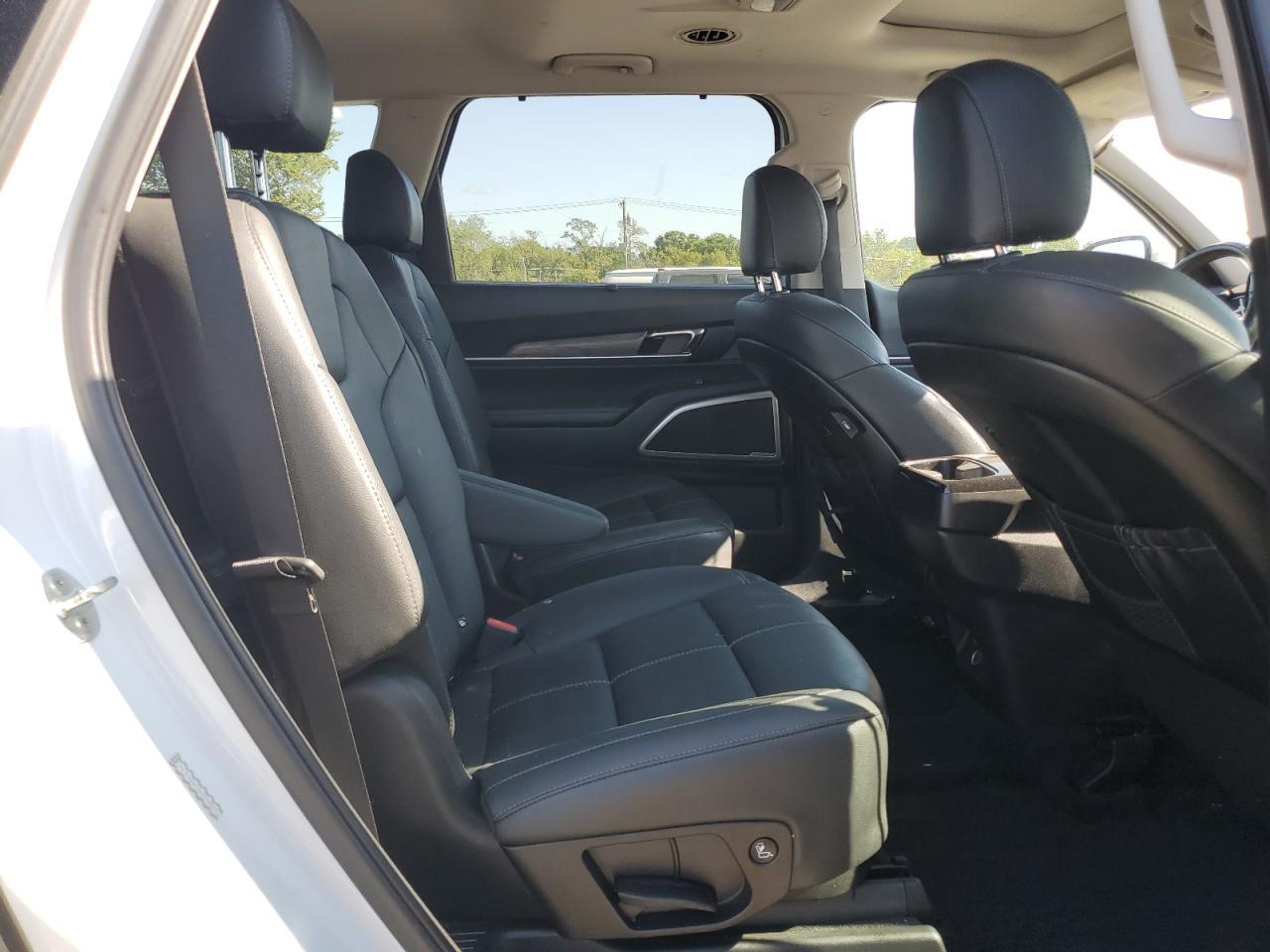 2020 Kia Telluride Ex VIN: 5XYP3DHCXLG092521 Lot: 70529095