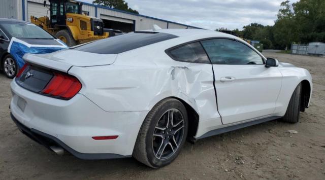  FORD ALL Models 2023 Белы