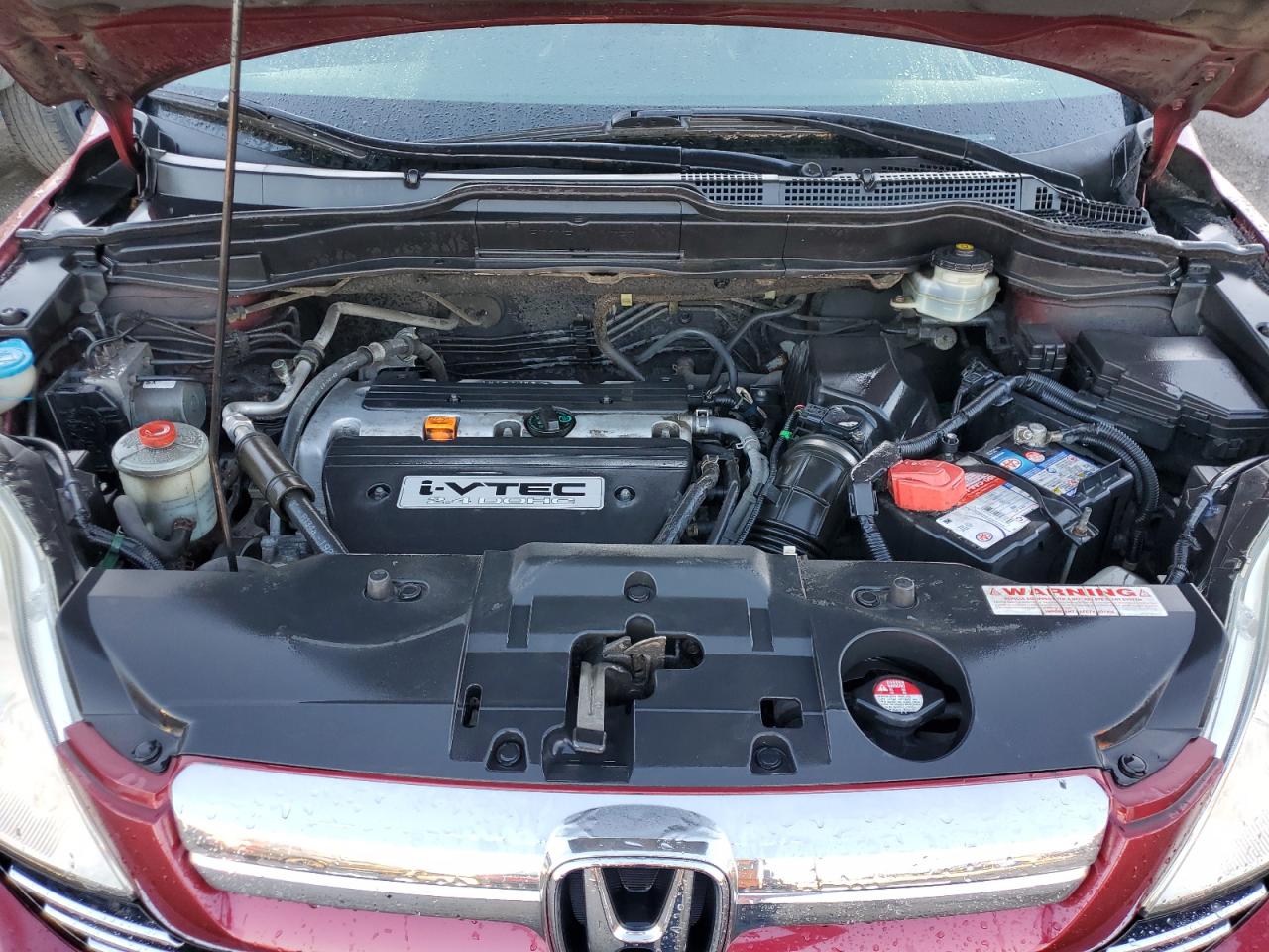 2008 Honda Cr-V Exl VIN: 5J6RE48728L818920 Lot: 81260905