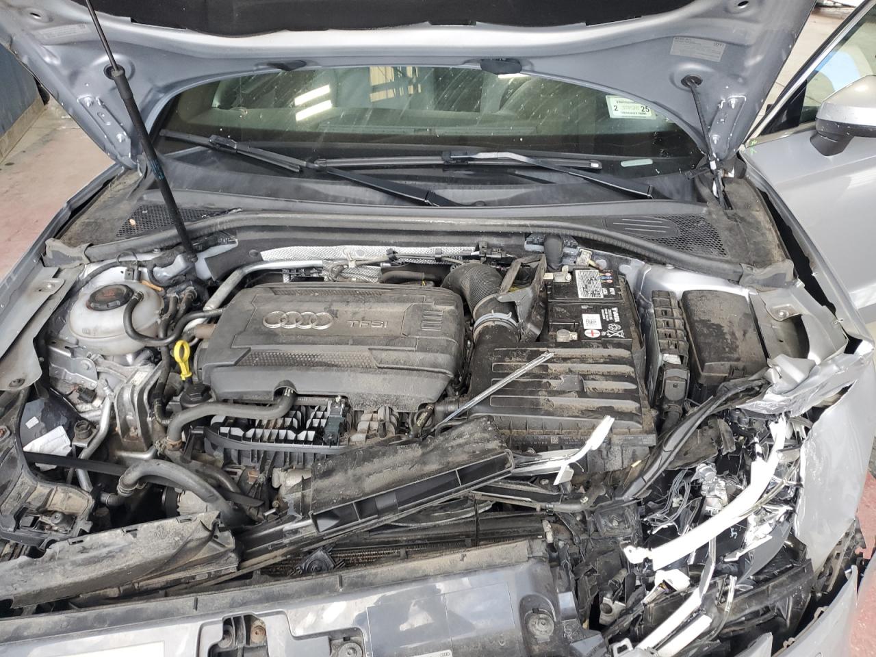 2019 Audi A3 Premium Plus VIN: WAUJEGFF1K1017541 Lot: 81269755