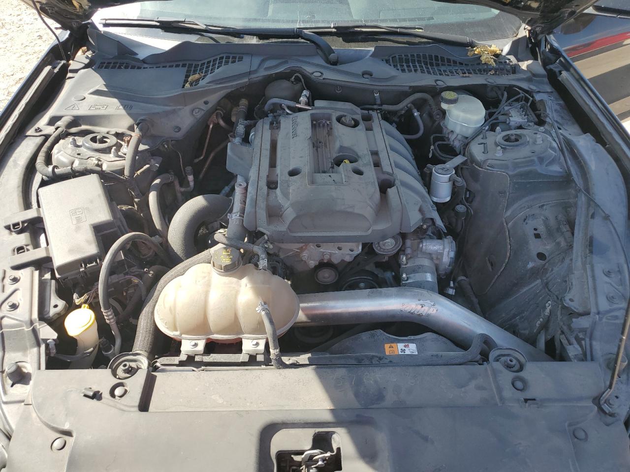 2016 Ford Mustang VIN: 1FA6P8TH0G5284951 Lot: 81880465