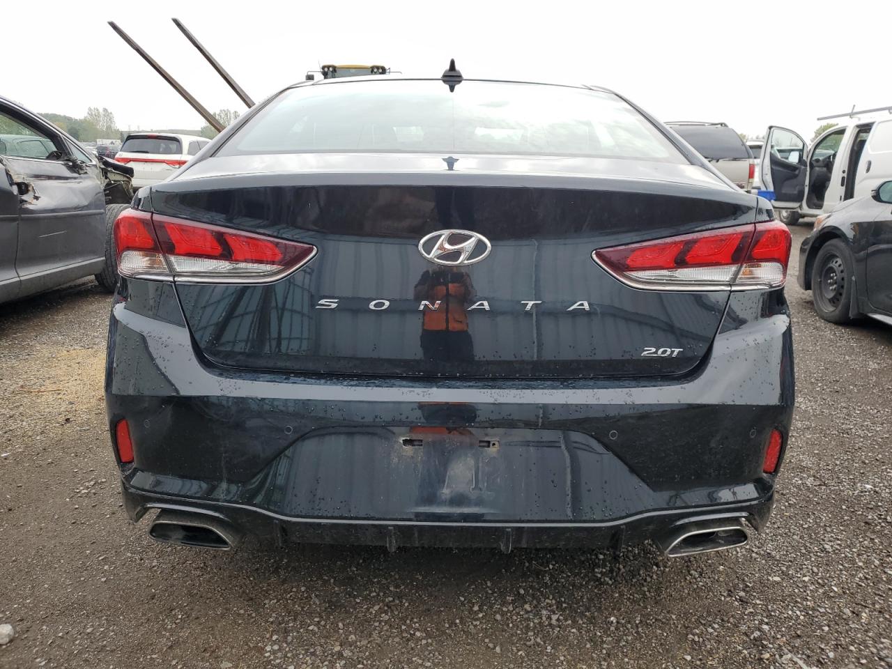 2019 Hyundai Sonata Limited Turbo VIN: 5NPE34AB6KH742204 Lot: 81561555