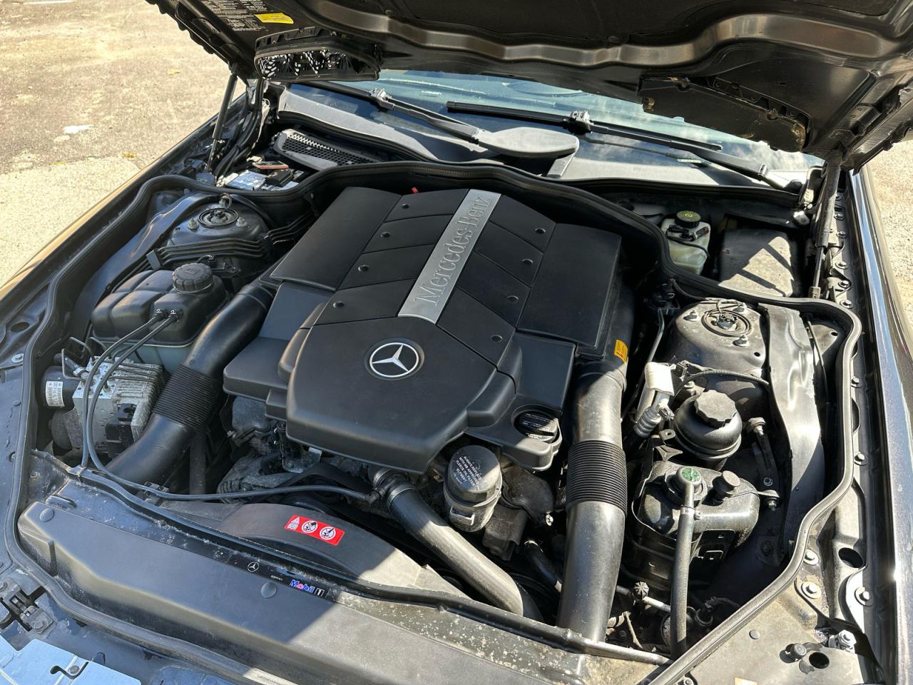 V (R230) V (R230)