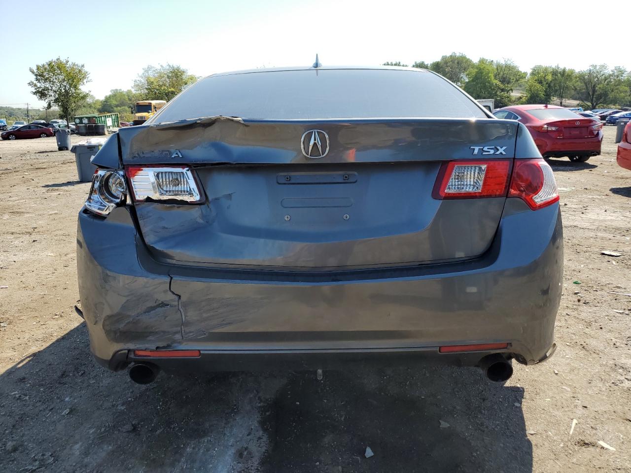 2010 Acura Tsx VIN: JH4CU2F66AC005033 Lot: 81152345