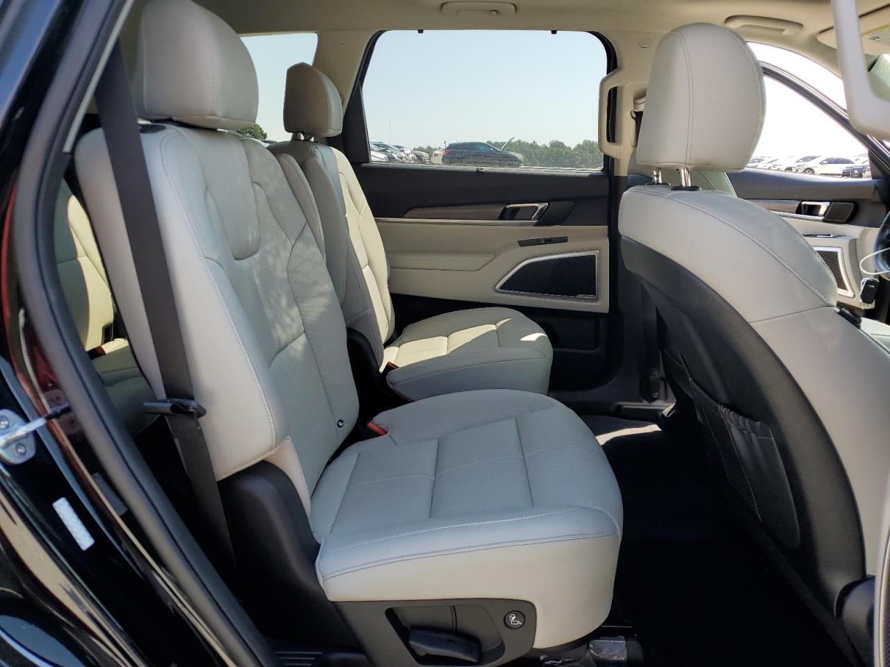 2021 Kia Telluride Ex VIN: 5XYP3DHC1MG101821 Lot: 80678215