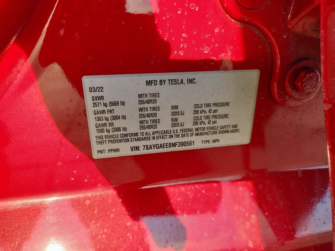 2022 Tesla Model Y VIN: 7SAYGAEE8NF390561 Lot: 84815145