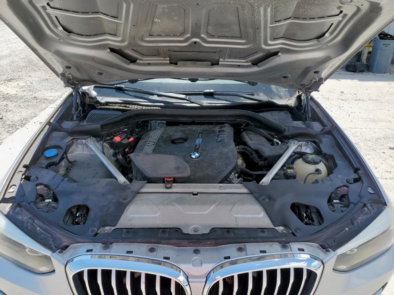 2019 BMW X3 Sdrive30I VIN: 5UXTR7C52KLF33876 Lot: 71982525