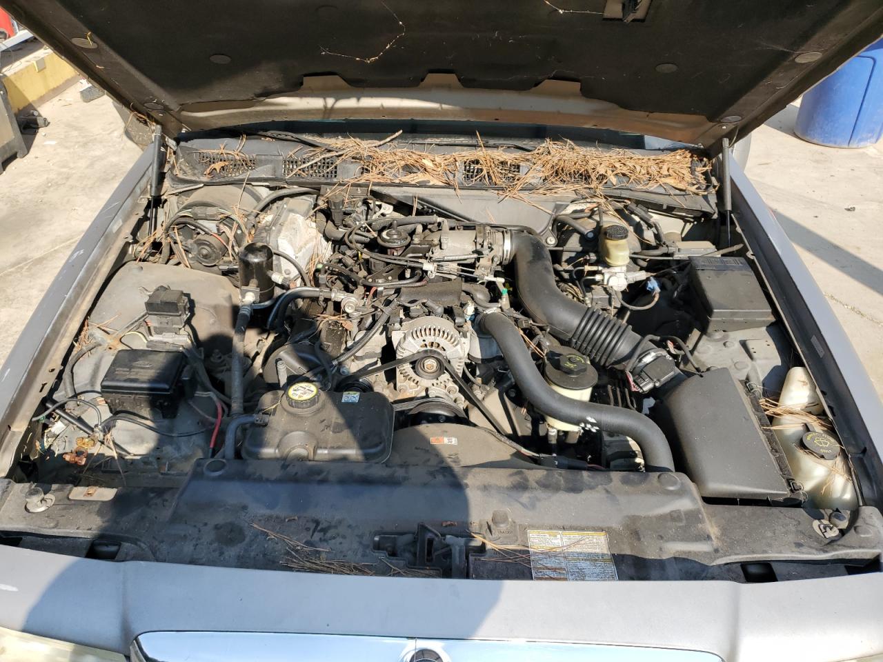 2001 Mercury Grand Marquis Ls VIN: 2MEFM75W31X646543 Lot: 80089325